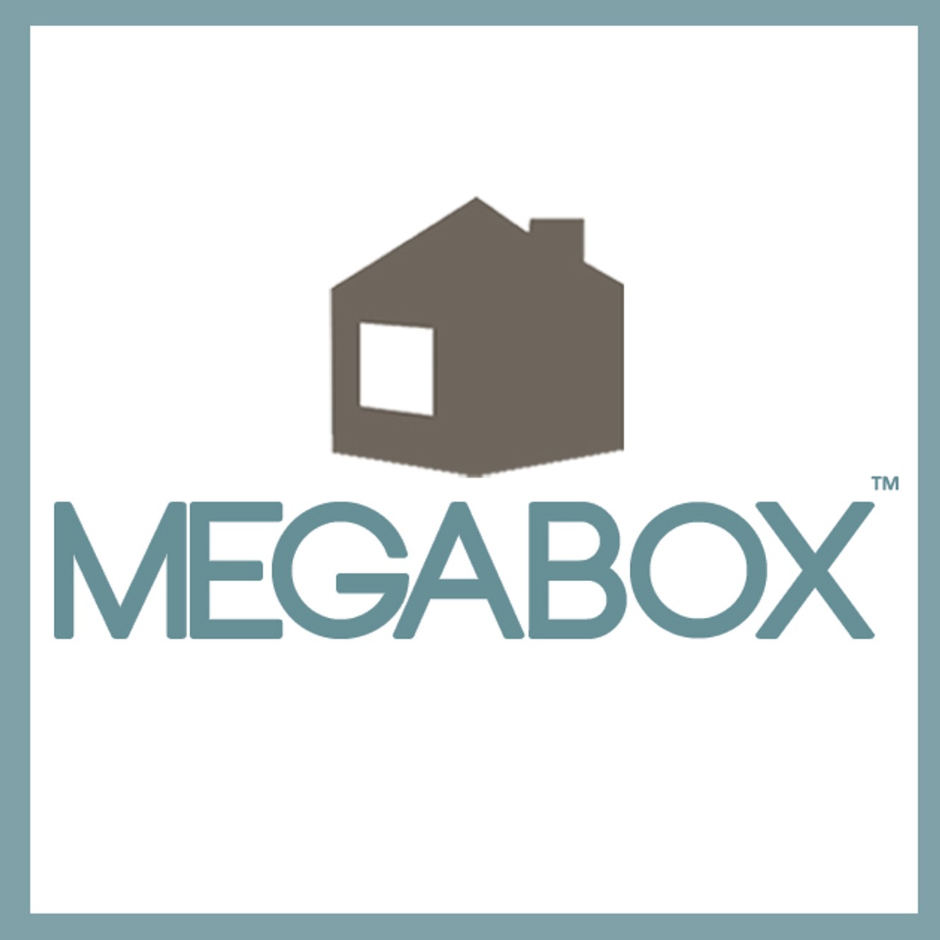 Buy Megabox Storage Boxes & Cabinet Online - DIY Hardware