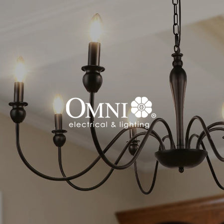 OMNI lighting products are designed using LED technology to produce high quality yet affordable general and special lighting requirements.