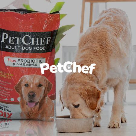 Perfect treats for your pawsome pets!