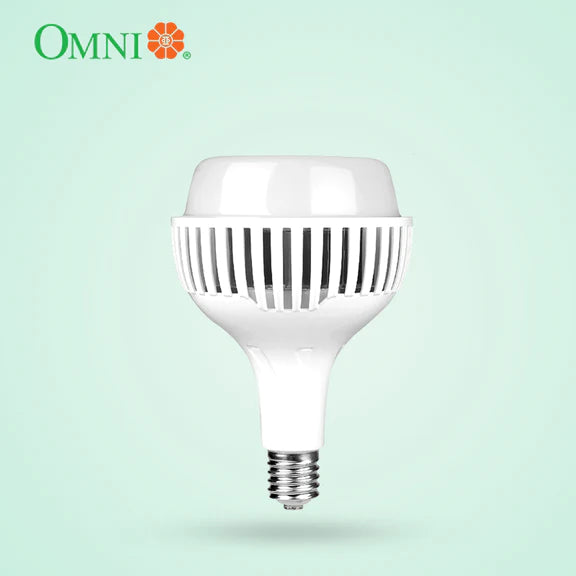 Buy OMNI by DIY Hardware LED High Power Lamp 40 Watts E27 LHP145E27 ...