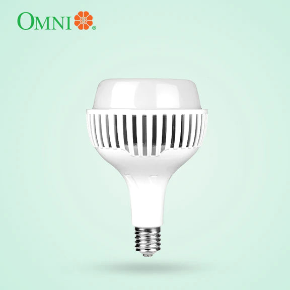 OMNI by DIY Hardware LED High Power Lamp 40 Watts E27 LHP145E27-40WDL