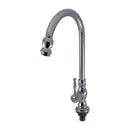 Wassernison Hybrid Goose Neck Faucet Whb-7081