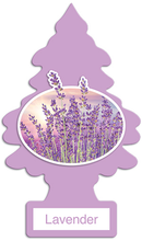 Little Tree Air Fresh Lavender